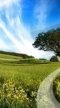 Lade kostenlos Hintergrundbilder Landschaft,Bäume,Felder,Hintergrund,Sky,Clouds für Handy oder Tablet herunter.
