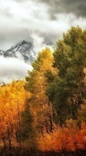 Lade kostenlos Hintergrundbilder Landschaft,Bäume,Mountains,Herbst,Clouds für Handy oder Tablet herunter.