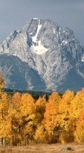 Lade kostenlos Hintergrundbilder Landschaft,Bäume,Mountains,Herbst für Handy oder Tablet herunter.