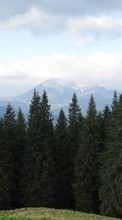 Bäume,Mountains,Landschaft für Sony Ericsson Live with Walkman