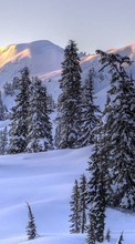 Lade kostenlos Hintergrundbilder Bäume,Mountains,Landschaft,Schnee für Handy oder Tablet herunter.