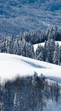Lade kostenlos Hintergrundbilder Landschaft,Winterreifen,Bäume,Mountains,Schnee für Handy oder Tablet herunter.