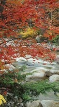 Lade kostenlos Hintergrundbilder Landschaft,Flüsse,Bäume,Stones,Herbst für Handy oder Tablet herunter.