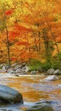 Lade kostenlos Hintergrundbilder Landschaft,Wasser,Flüsse,Bäume,Stones,Herbst für Handy oder Tablet herunter.