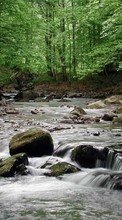 Landschaft,Wasser,Flüsse,Bäume,Stones für HTC One S