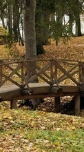 Lade kostenlos Hintergrundbilder Landschaft,Bridges,Bäume,Herbst,Blätter für Handy oder Tablet herunter.