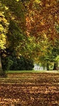 Lade kostenlos 720x1280 Hintergrundbilder Landschaft,Bäume,Herbst,Blätter,Parks für Handy oder Tablet herunter.