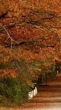 Lade kostenlos Hintergrundbilder Bäume,Blätter,Herbst,Landschaft für Handy oder Tablet herunter.