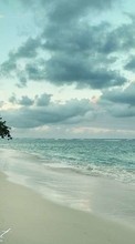 Lade kostenlos Hintergrundbilder Landschaft,Bäume,Sky,Sea,Clouds,Strand für Handy oder Tablet herunter.