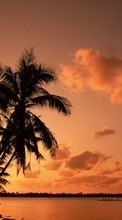 Lade kostenlos Hintergrundbilder Landschaft,Bäume,Sunset,Sky,Sea,Palms für Handy oder Tablet herunter.