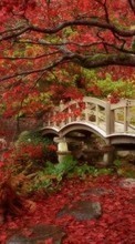 Lade kostenlos Hintergrundbilder Landschaft,Bridges,Bäume,Herbst für Handy oder Tablet herunter.