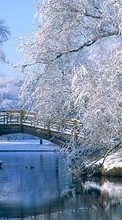Lade kostenlos Hintergrundbilder Landschaft,Winterreifen,Flüsse,Bridges,Bäume für Handy oder Tablet herunter.