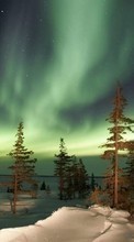 Landschaft,Bäume,Sky,Sterne,Übernachtung,Schein,Schnee für Samsung Galaxy Core 2