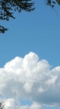 Landschaft,Bäume,Sky,Clouds für Sony Xperia SL