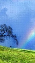 Lade kostenlos Hintergrundbilder Landschaft,Bäume,Grass,Sky,Regenbogen für Handy oder Tablet herunter.
