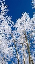 Lade kostenlos Hintergrundbilder Winterreifen,Bäume,Sky,Schnee,Landschaft für Handy oder Tablet herunter.