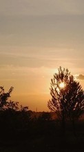 Lade kostenlos Hintergrundbilder Landschaft,Bäume,Sunset,Sky,Sun für Handy oder Tablet herunter.