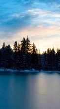 Lade kostenlos 480x800 Hintergrundbilder Landschaft,Winterreifen,Wasser,Bäume,Sky für Handy oder Tablet herunter.