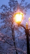 Landschaft,Winterreifen,Bäume,Übernachtung,Schnee für Sony Xperia TX