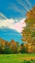 Lade kostenlos Hintergrundbilder Landschaft,Bäume,Herbst,Sun,Clouds für Handy oder Tablet herunter.