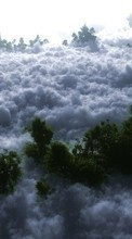 Bäume,Clouds,Landschaft für Samsung Corby 2 S3850