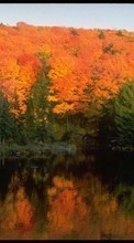 Lade kostenlos 1080x1920 Hintergrundbilder Landschaft,Bäume,Herbst,Seen für Handy oder Tablet herunter.