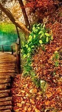 Lade kostenlos Hintergrundbilder Landschaft,Bäume,Herbst,Seen für Handy oder Tablet herunter.