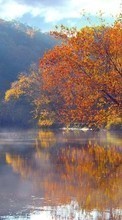 Lade kostenlos 720x1280 Hintergrundbilder Landschaft,Wasser,Bäume,Herbst,Seen für Handy oder Tablet herunter.