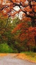 Lade kostenlos Hintergrundbilder Bäume,Herbst,Parks,Landschaft,Natur für Handy oder Tablet herunter.