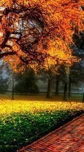 Landschaft,Bäume,Herbst für Meizu M2 Mini