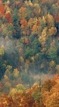 Lade kostenlos Hintergrundbilder Bäume,Herbst,Landschaft für Handy oder Tablet herunter.