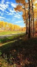 Lade kostenlos Hintergrundbilder Landschaft,Bäume,Herbst für Handy oder Tablet herunter.