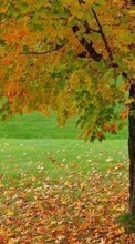 Lade kostenlos 360x640 Hintergrundbilder Landschaft,Bäume,Herbst für Handy oder Tablet herunter.