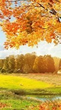Lade kostenlos Hintergrundbilder Felder,Herbst,Landschaft,Bäume für Handy oder Tablet herunter.