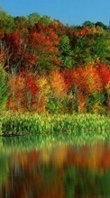 Lade kostenlos Hintergrundbilder Flüsse,Bäume,Herbst,Landschaft für Handy oder Tablet herunter.