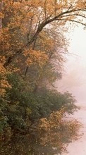 Lade kostenlos Hintergrundbilder Bäume,Herbst,Landschaft,Flüsse für Handy oder Tablet herunter.