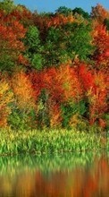 Landschaft,Flüsse,Bäume,Herbst für Nokia E63