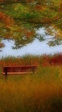 Lade kostenlos Hintergrundbilder Landschaft,Flüsse,Bäume,Grass,Herbst für Handy oder Tablet herunter.