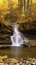 Lade kostenlos Hintergrundbilder Herbst,Wasserfälle,Landschaft,Flüsse,Bäume für Handy oder Tablet herunter.