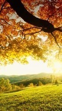 Lade kostenlos Hintergrundbilder Landschaft,Bäume,Herbst,Sun für Handy oder Tablet herunter.