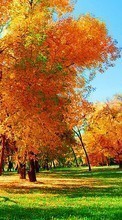 Lade kostenlos Hintergrundbilder Landschaft,Bäume,Grass,Herbst für Handy oder Tablet herunter.