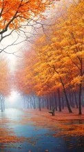 Lade kostenlos Hintergrundbilder Landschaft,Bäume,Herbst,Streets für Handy oder Tablet herunter.