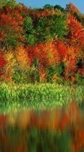 Lade kostenlos Hintergrundbilder Pflanzen,Wasser,Bäume,Herbst für Handy oder Tablet herunter.