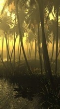 Lade kostenlos Hintergrundbilder Landschaft,Bäume,Sun,Palms für Handy oder Tablet herunter.