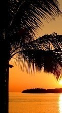 Lade kostenlos Hintergrundbilder Landschaft,Bäume,Sunset,Sun,Palms für Handy oder Tablet herunter.