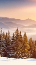 Lade kostenlos Hintergrundbilder Bäume,Landschaft,Natur,Schnee,Winterreifen für Handy oder Tablet herunter.