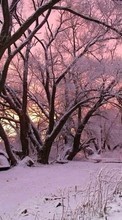 Lade kostenlos 320x480 Hintergrundbilder Landschaft,Winterreifen,Bäume,Schnee,Morgendämmerung für Handy oder Tablet herunter.