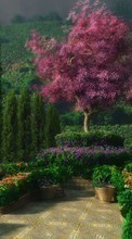 Pflanzen,Landschaft,Bäume für Samsung Galaxy Grand Neo Plus