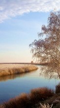 Landschaft,Flüsse,Bäume für Samsung Galaxy Ace NXT