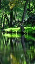 Bäume,Landschaft,Flüsse für Sony Ericsson Xperia X10 mini